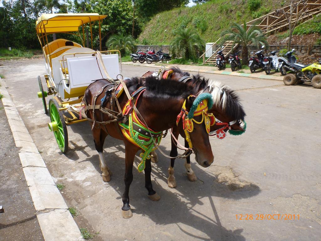 Homestay Triniti Lembang Ngoại thất bức ảnh